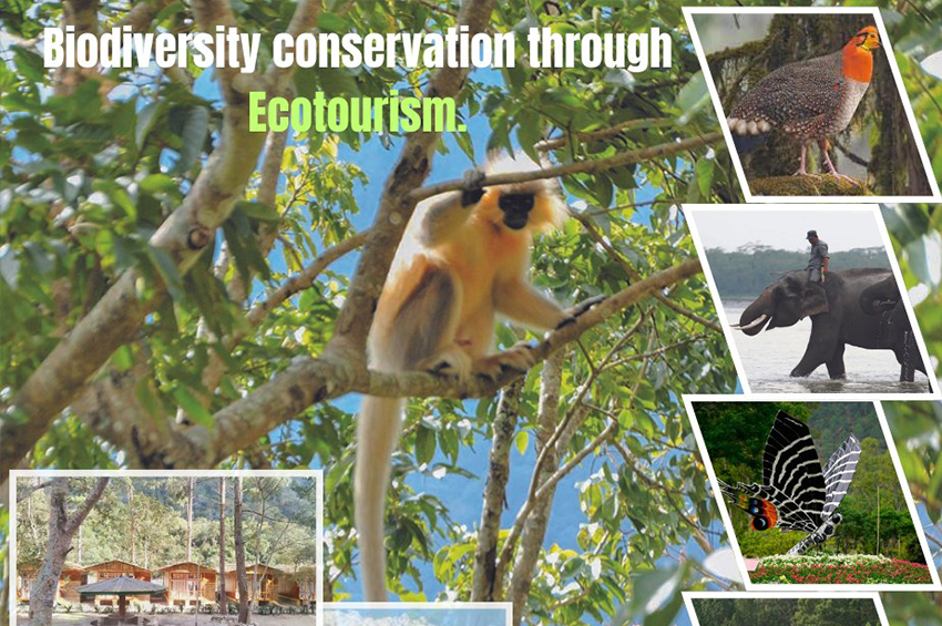 The promotion of Ecotourism in Bhutan