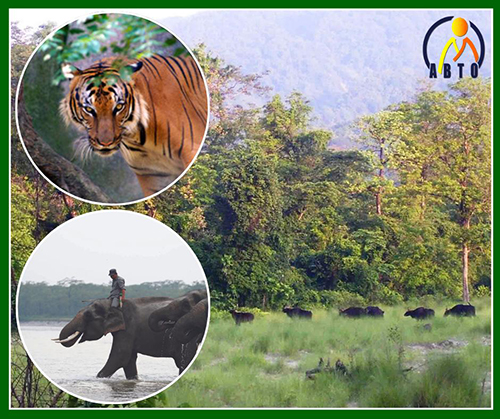 The Royal Manas National Park