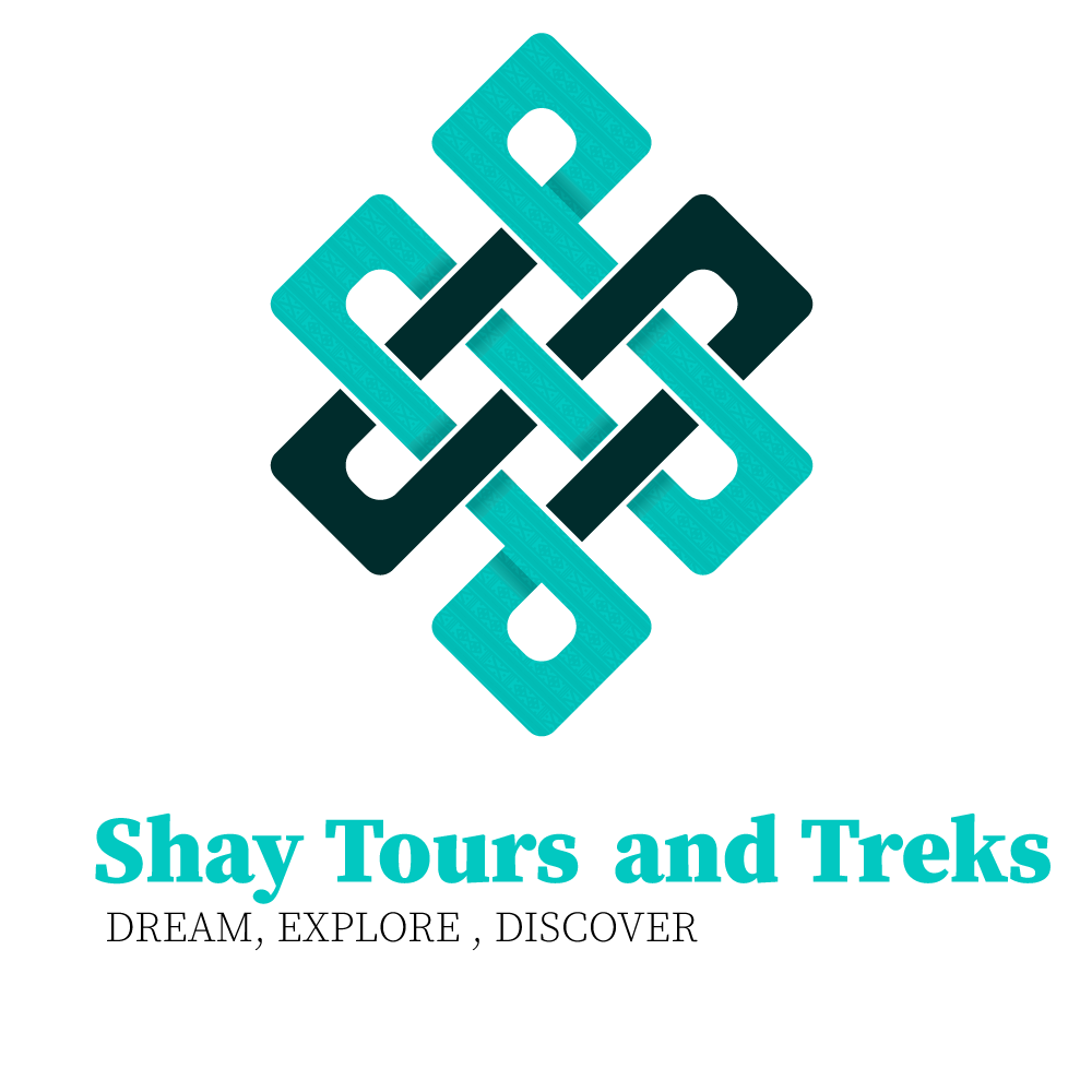 company_logo_1751533909.png